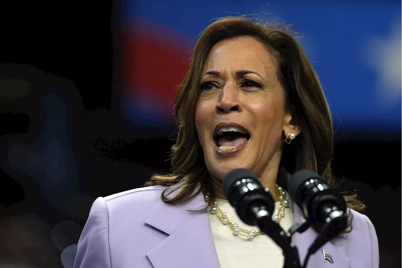 Schumer says crypto bill could pass by end of year on pro-Harris call