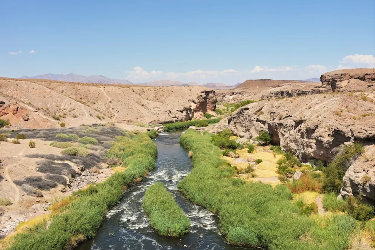 As Colorado River states await water cuts, they struggle to find agreement on longer-term plans