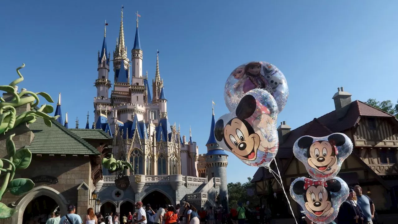 Allergischer Schock in Freizeitpark: Disney will Klage um Todesfall abschütteln – weil es ein Streaming-Probeabo gab