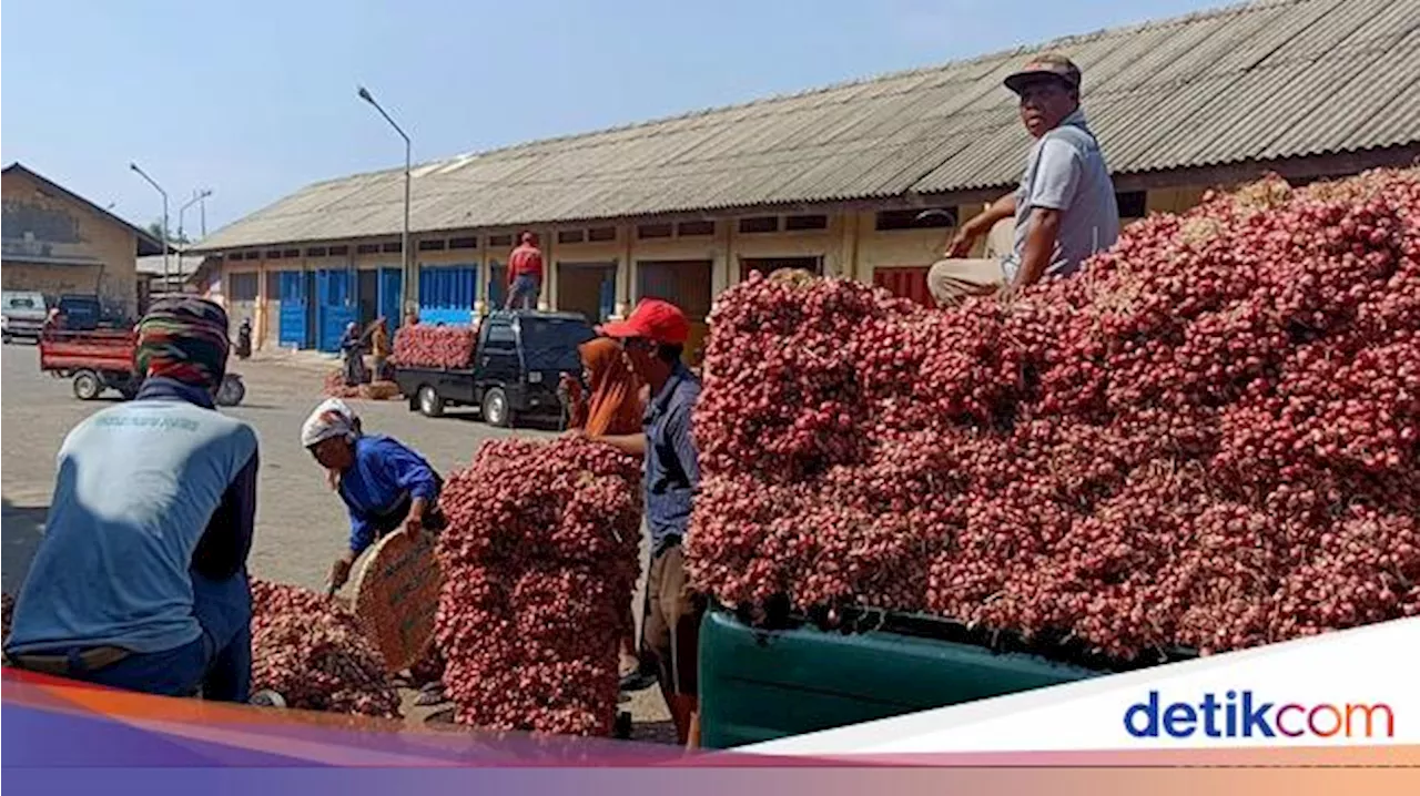 Harga Bawang Merah Terjun Bebas, Ternyata Ini Biang Keroknya