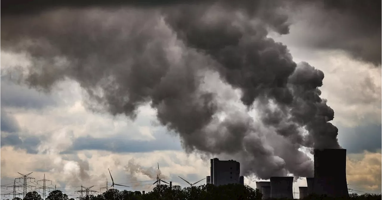 Klimaforscherin Otto: „Besseres Leben für alle oder Profite für wenige“