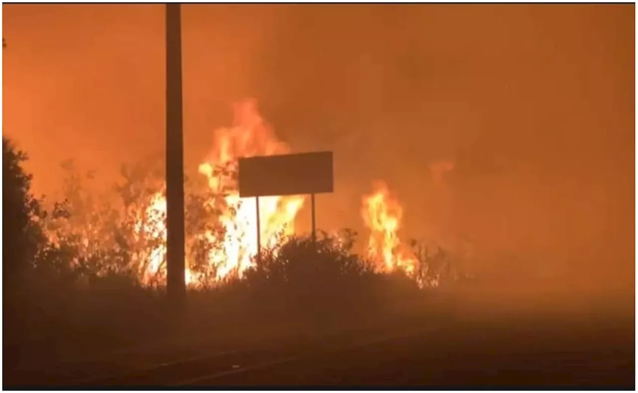 Sofocan fuerte incendio en Sisal, Yucatán; llamas consumieron varias hectáreas de la comunidad