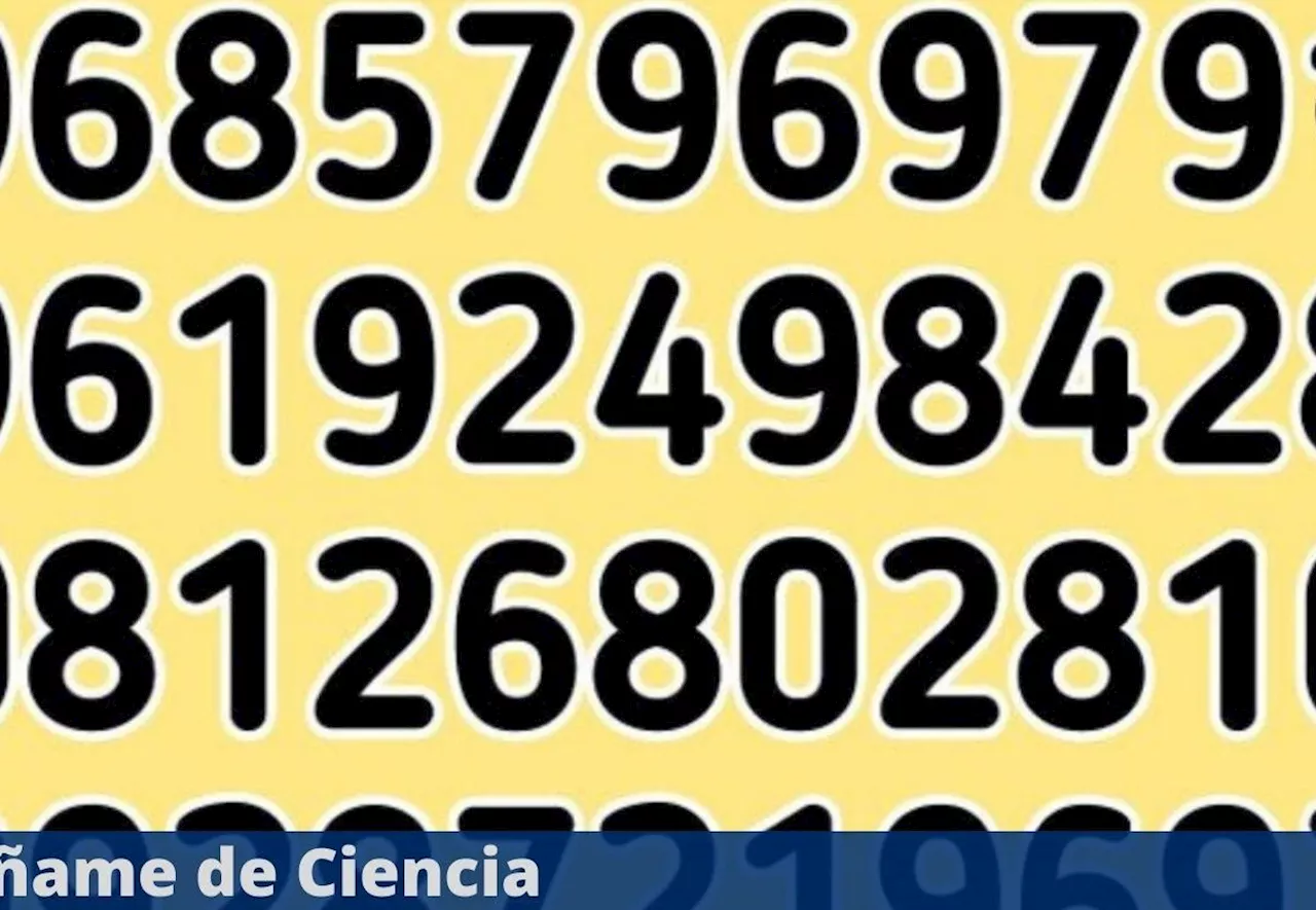 Tests visual para PRINCIPIANTES: ¿Podrás encontrar el número “696” en la imagen?