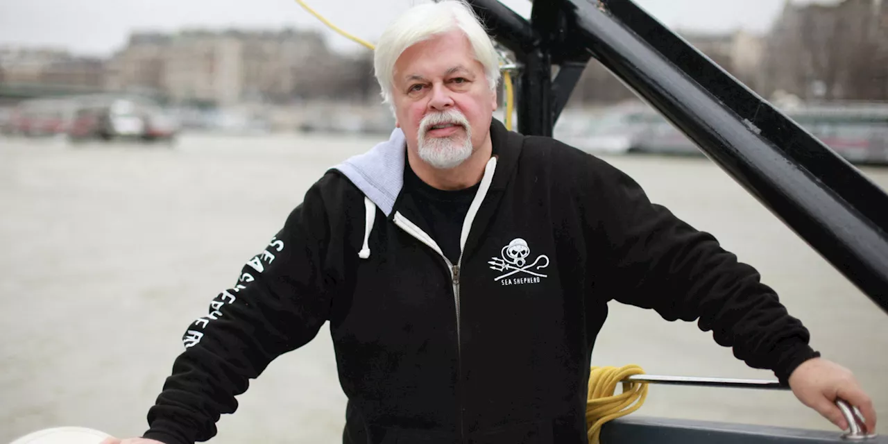 Le défenseur des baleines Paul Watson devant la justice au Groenland sur sa détention