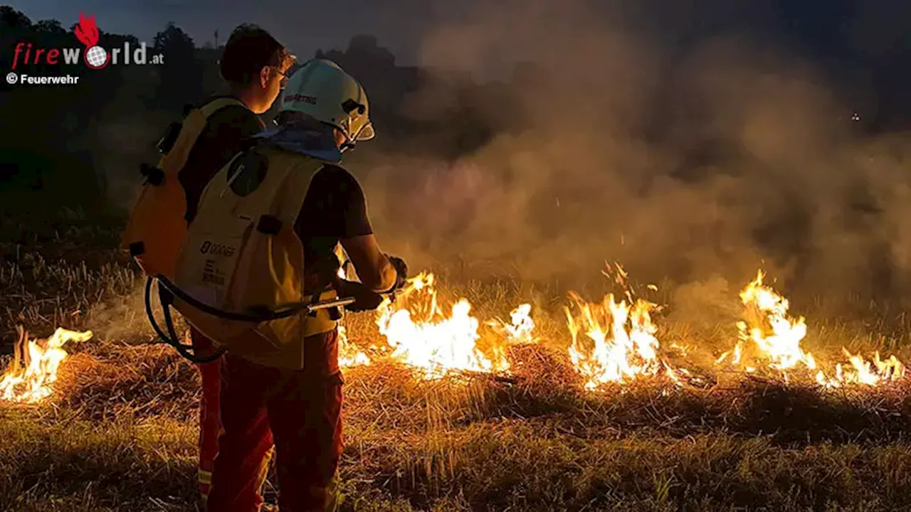 Bayern: Wundstreifen anlegen und „Stop-and-Go“-Löschverfahren → Waldbrandübung der Feuerwehren Nirnharting und Waging am See