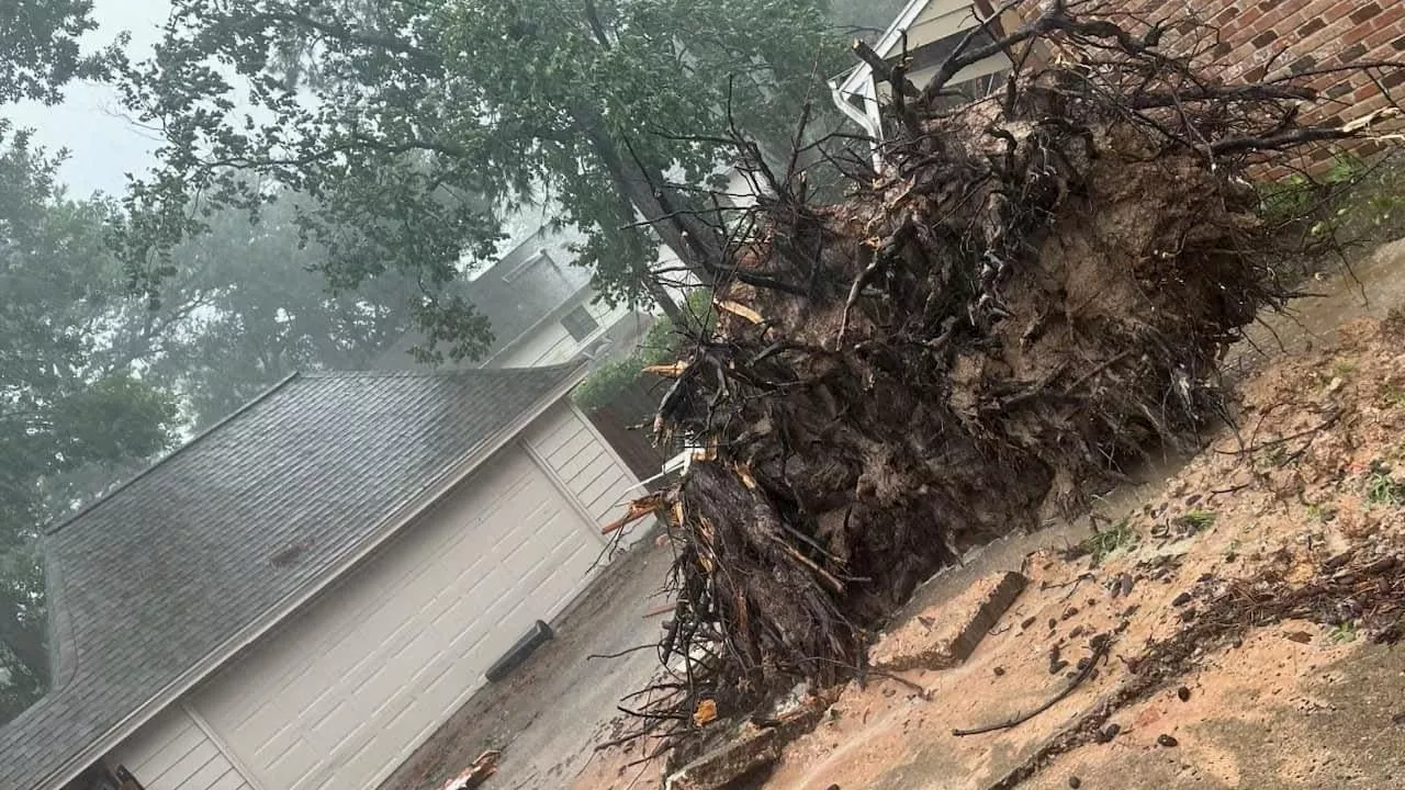 Hurricane Beryl debris cleanup: Key dates and what you need to know