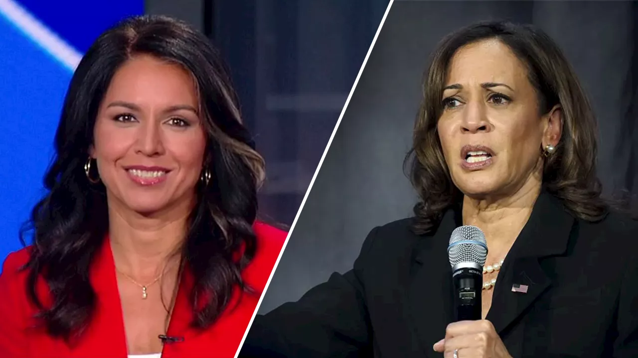 Kamala Harris is an 'empty suit' and campaign handlers are worried, says Tulsi Gabbard