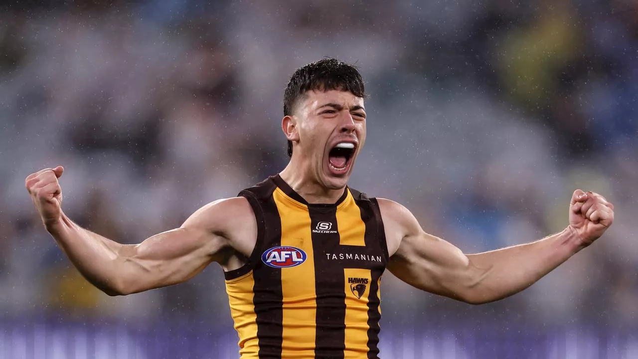 ‘Needed someone to believe’: Inside bargain AFL recruit’s trade to Hawks