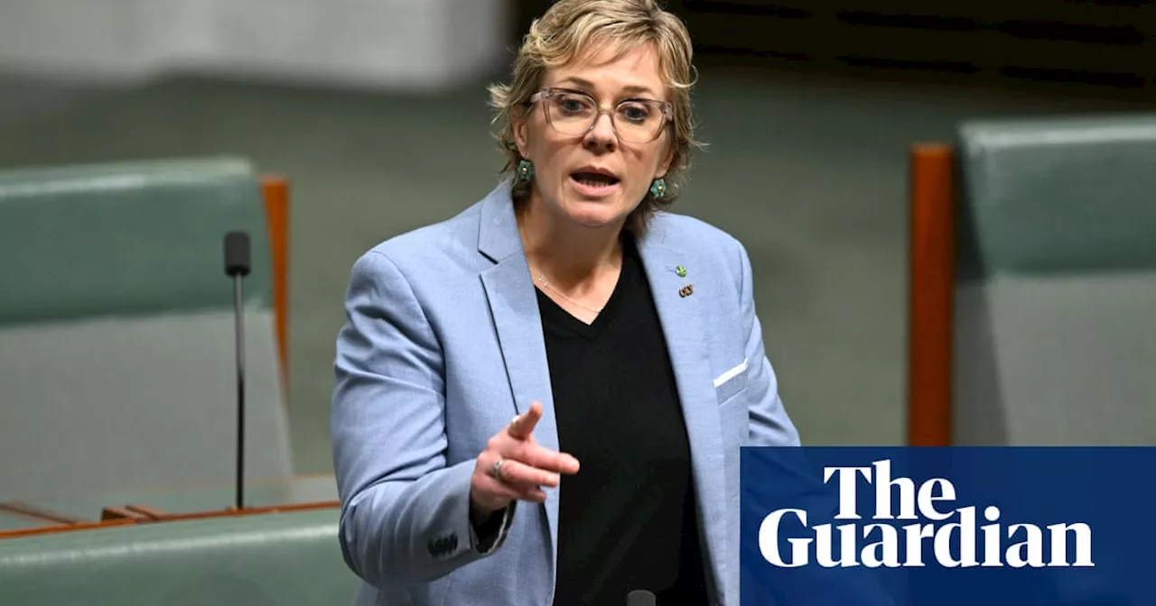 Zali Steggall tells Dutton to ‘stop being racist’ in parliament amid heated debate on Palestinian visas