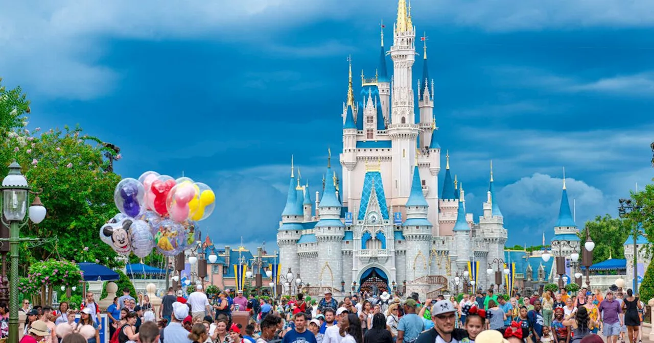 Man can't sue over wife's allergy death at Disney World 'because he had Disney+'