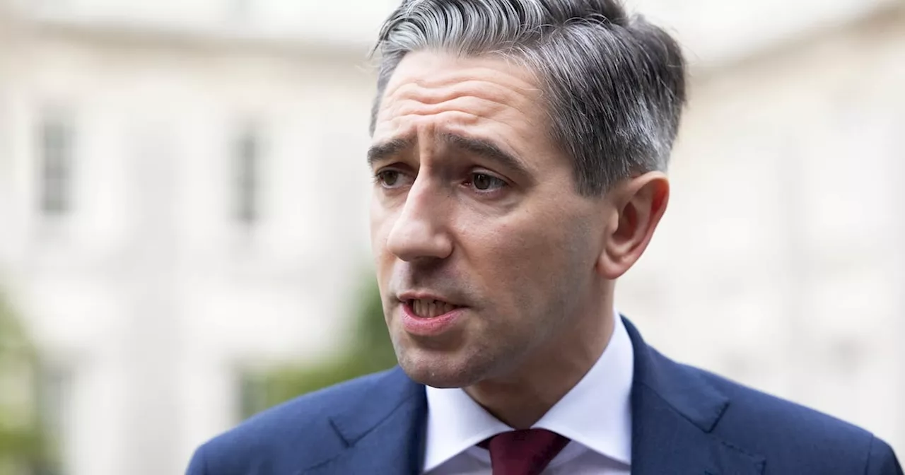 Woman (50s) arrested following demonstration outside Simon Harris’ house