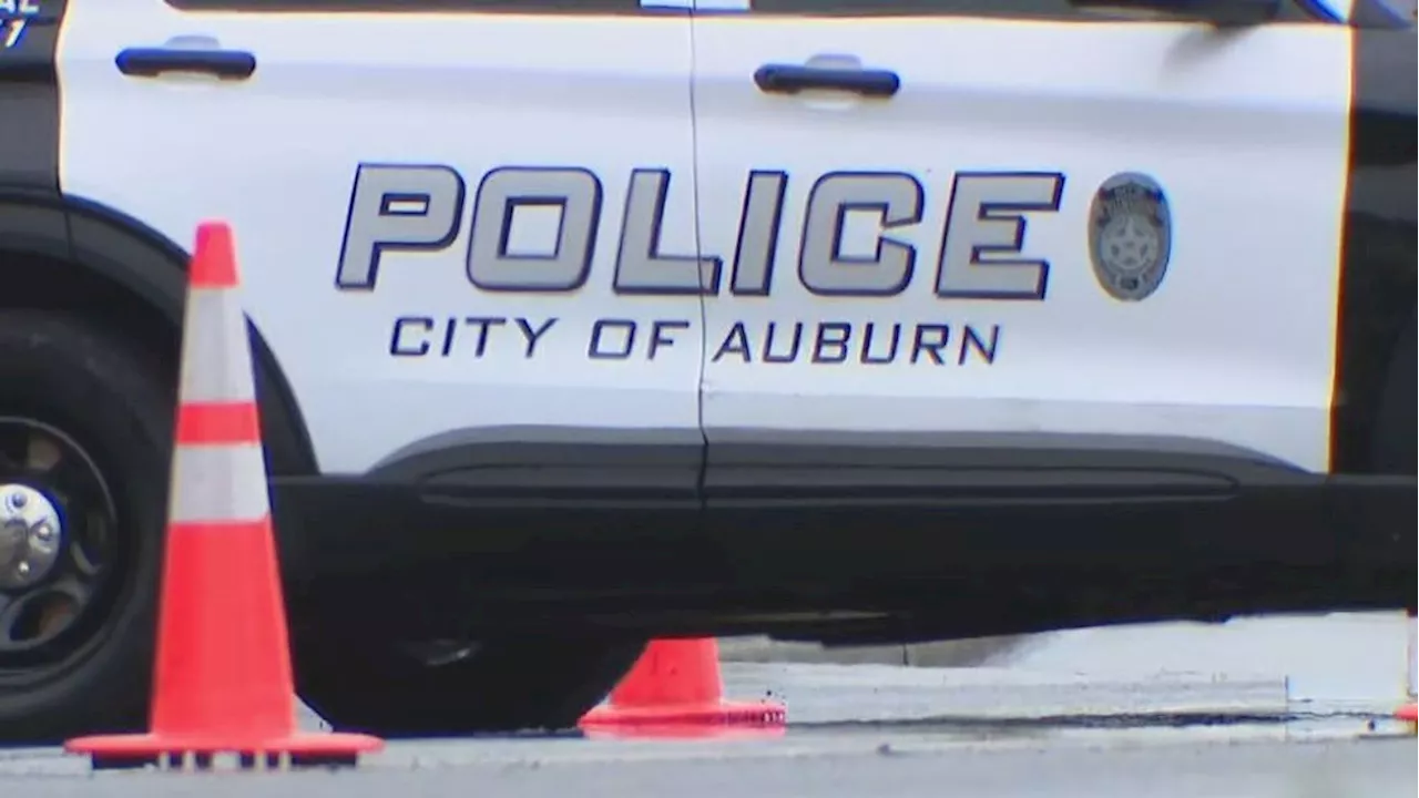 Auburn police to install license plate cameras in hopes of curbing crime