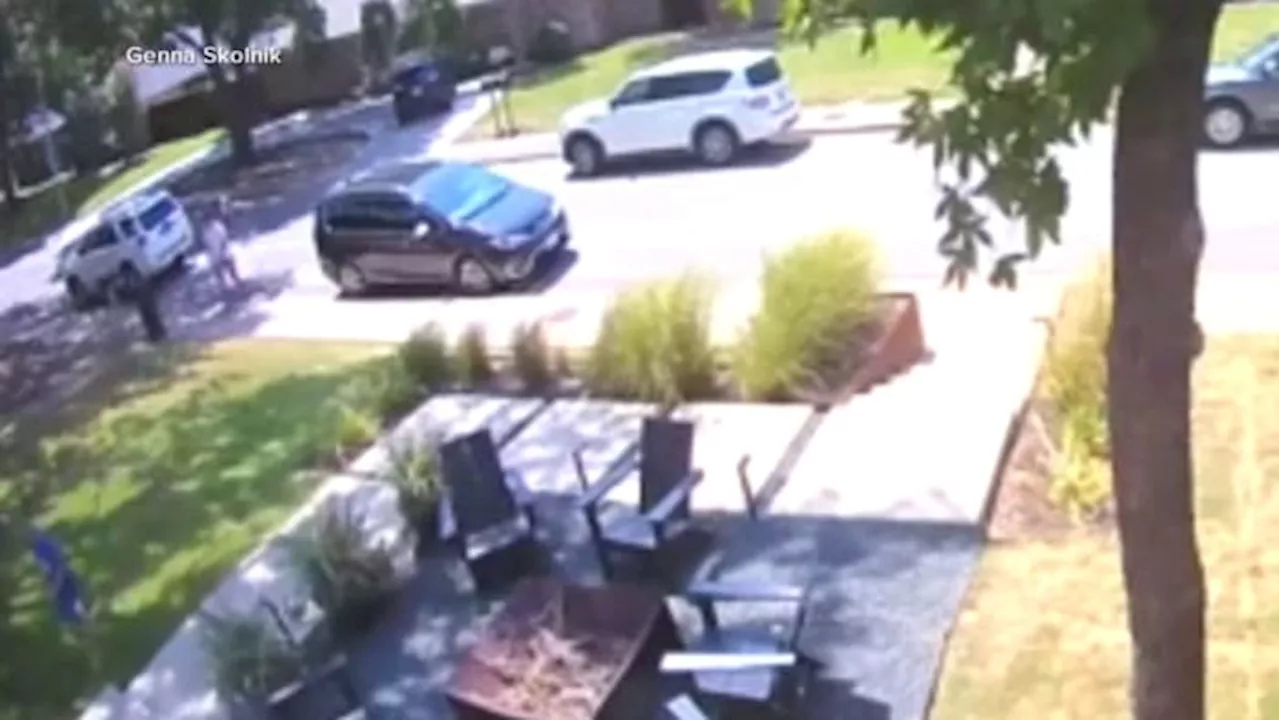 Videos show suspected kidnapping attempts in Dallas, Richardson