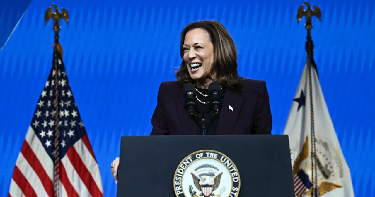 US-Wahl: So will Kamala Harris die US-Wirtschaft retten