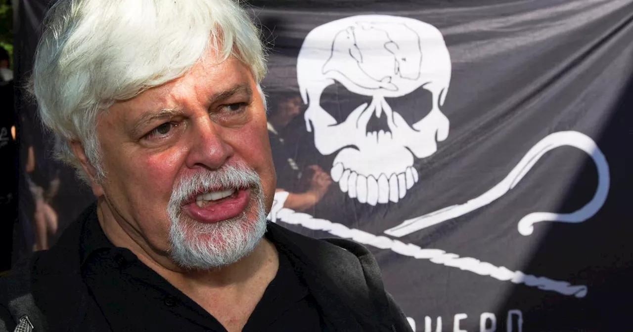 Groenland: le défenseur des baleines Paul Watson devant la justice