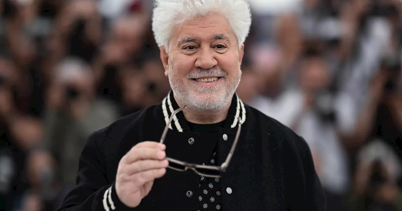 Pedro Almodóvar honoré au festival de cinéma de Saint-Sébastien