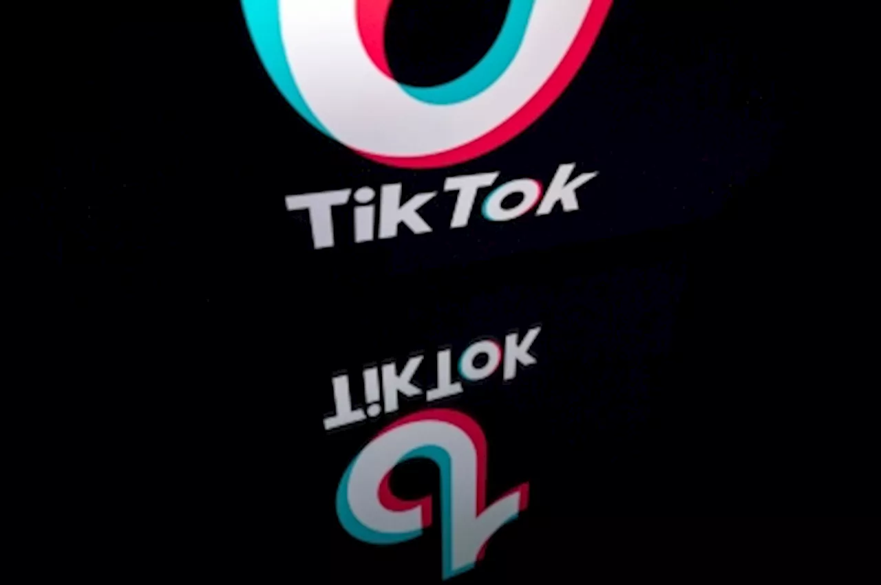 Can TikTok’s massive reach help find missing children? New pilot programme aims to do just that