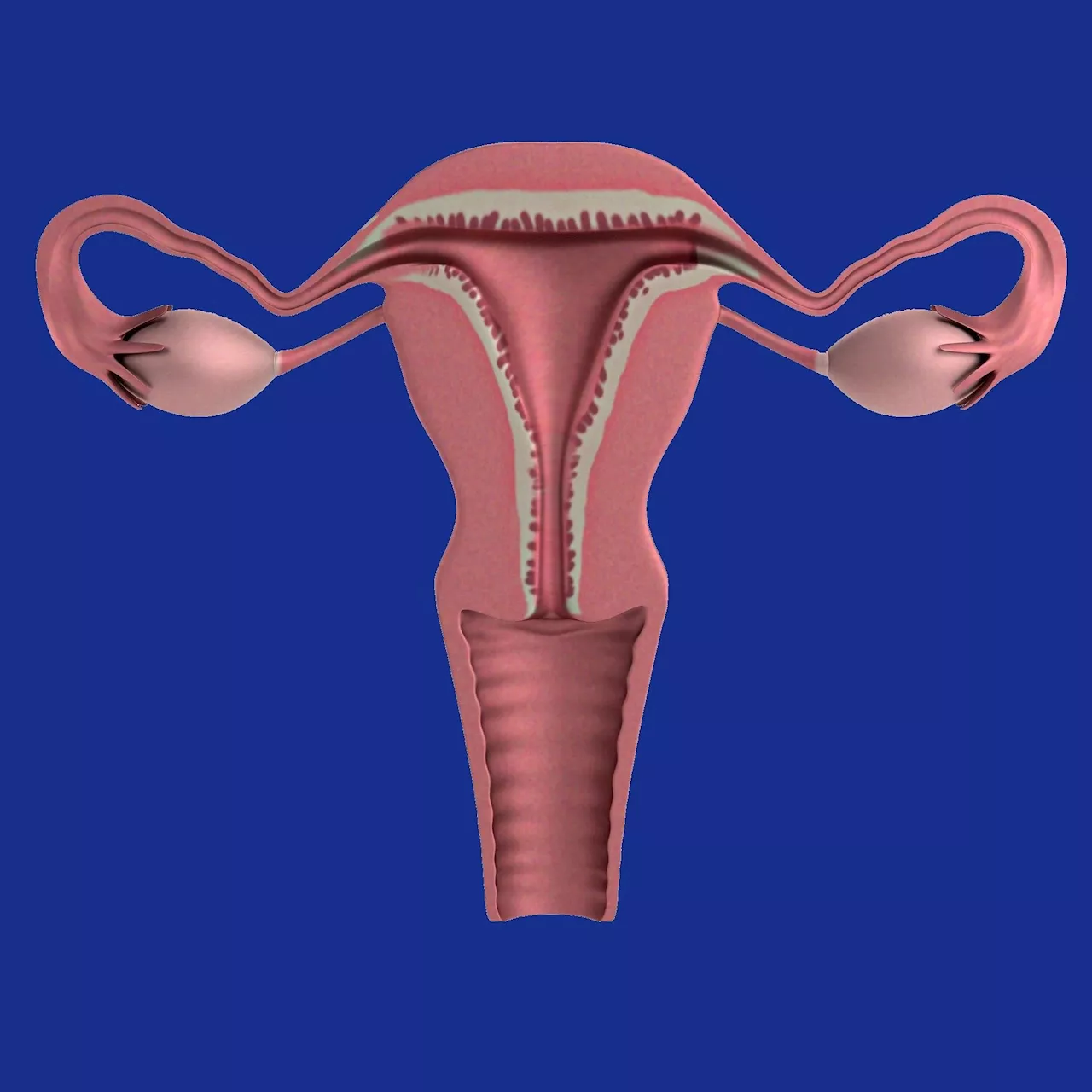 Exploring emerging diagnostic tools for early diagnosis of endometriosis