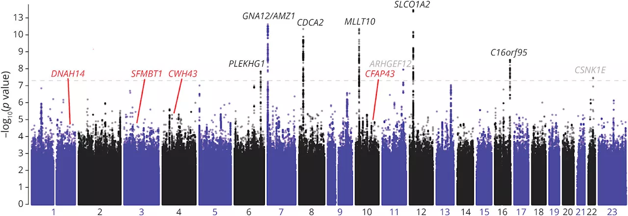 Pioneering study identifies six genetic regions associated with normal pressure hydrocephalus