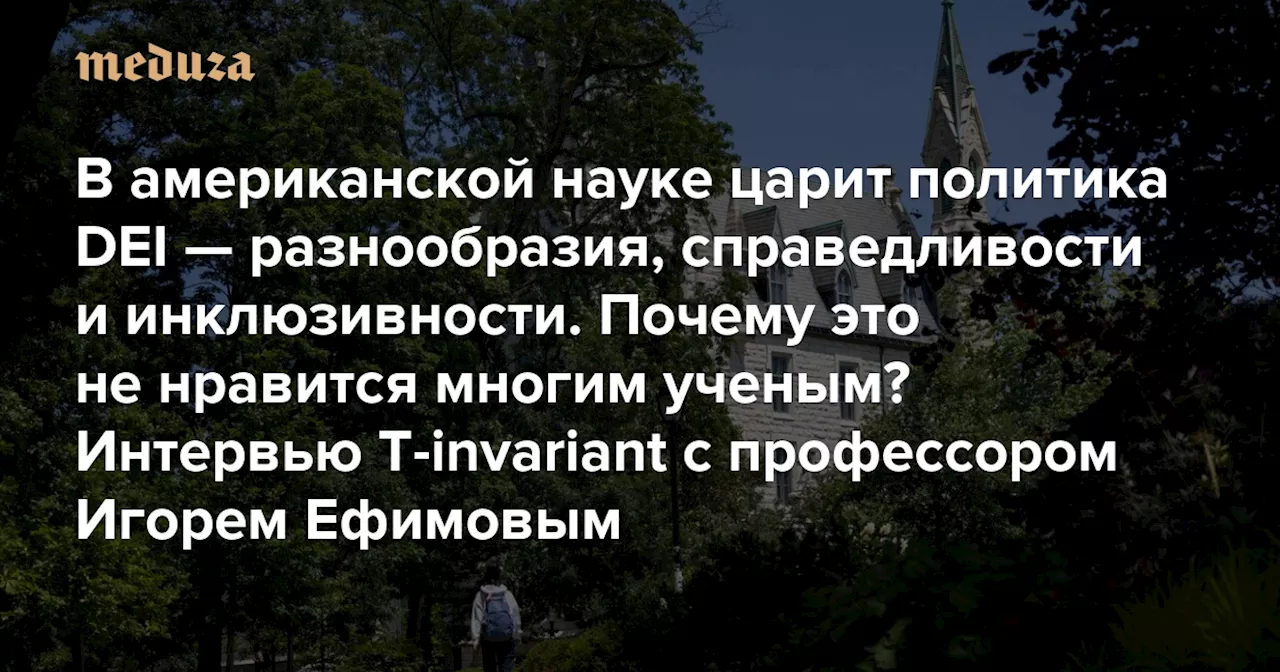 В американской науке царит политика DEI — разнообразия, справедливости и инклюзивности. Почему это не нравится многим ученым? Интервью T-invariant с профессором Игорем Ефимовым — Meduza