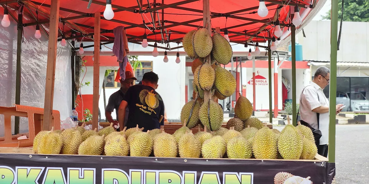 Nilai Ekspor Durian Indonesia Tembus Rp816 Juta pada Juli 2024, Negara Tujuannya Singapura dan Malaysia