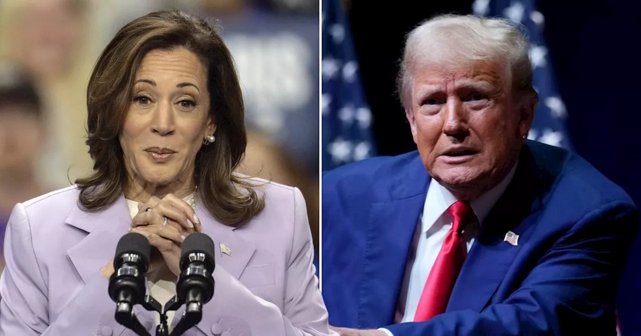 Trump claims Kamala Harris has 'laugh of a crazy person'