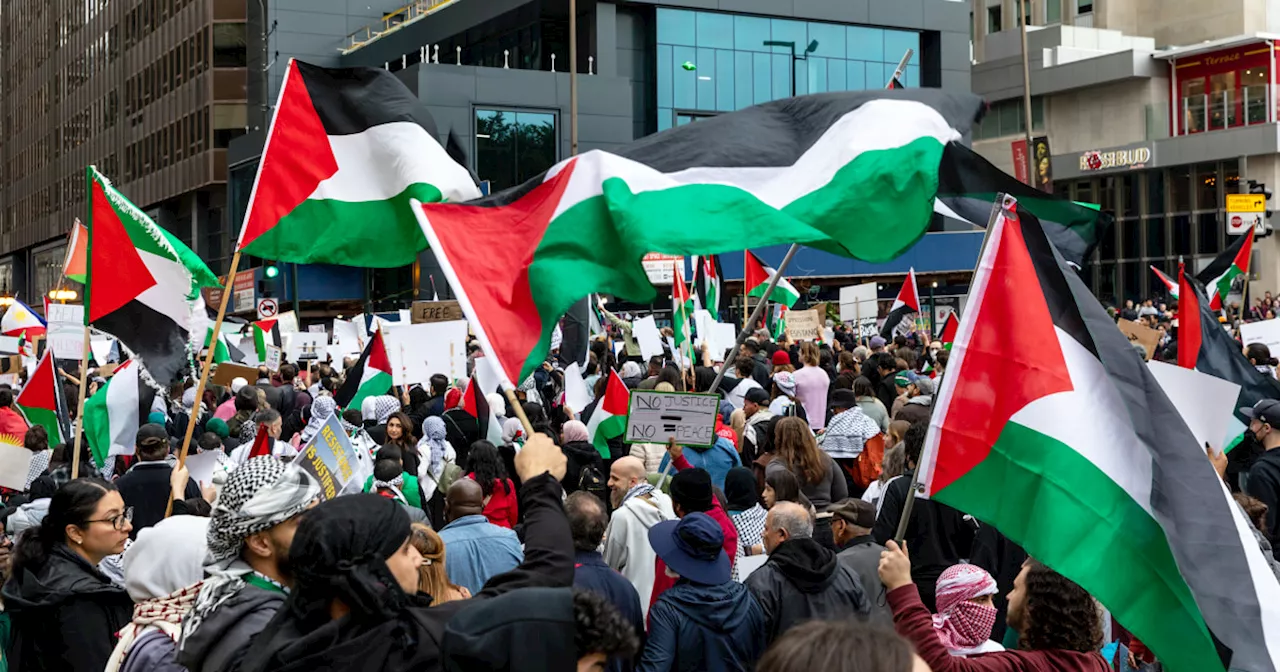 Pro-Palestinian groups are mobilizing thousands to Chicago to demonstrate outside DNC