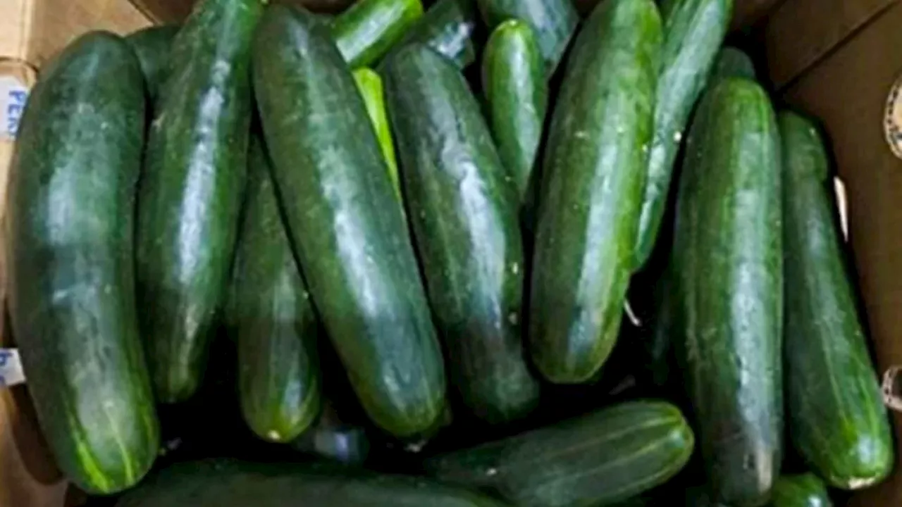 Recalled cucumbers linked to at least 449 illnesses have been pulled from stores, CDC says