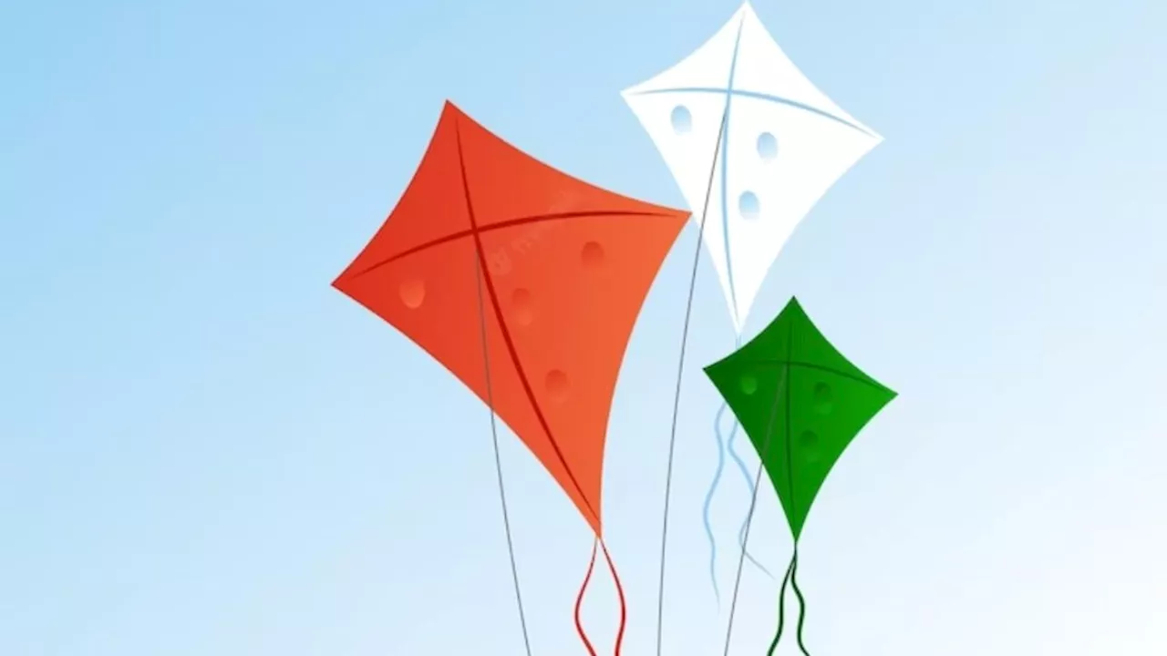 Kites: पतंग उड़ाते वक्त इन बातों का रखें ध्यान, नहीं तो जान भी जा सकती है