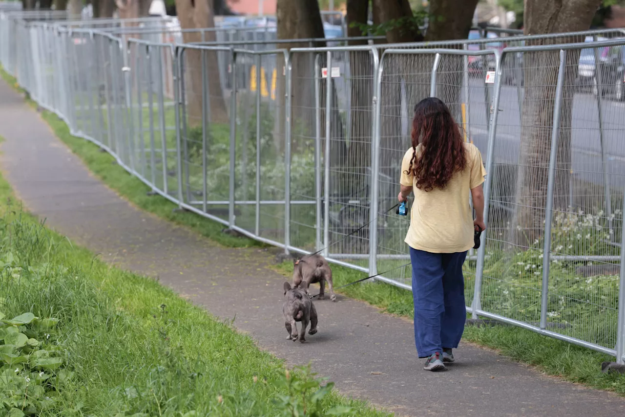 Grand Canal barriers: Demonstrators say Dublin has been ‘abandoned to chaos’