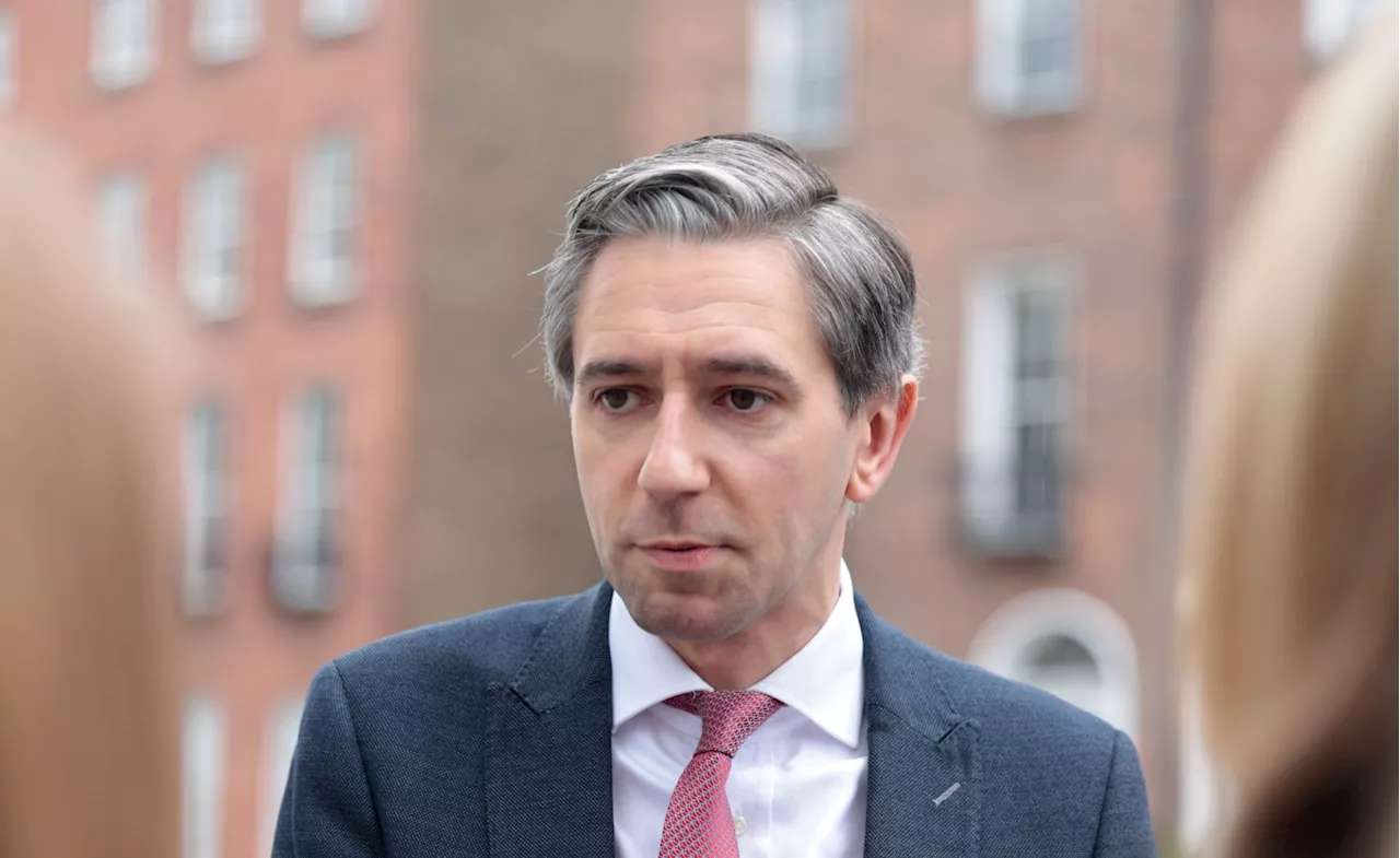 Woman arrested for alleged harassment of Taoiseach Simon Harris