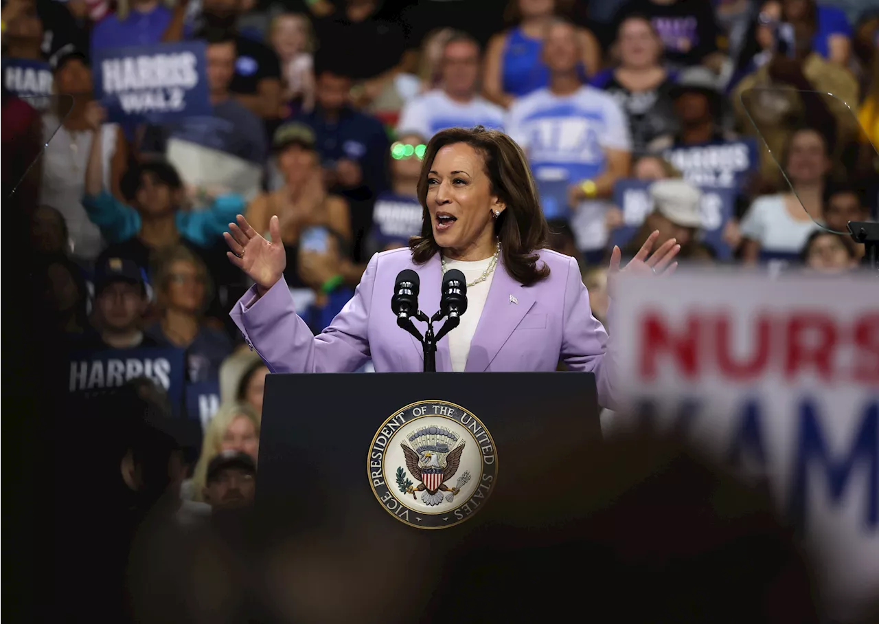 Kamala Harris Jumps 14 Points With Latino Voters in New Poll