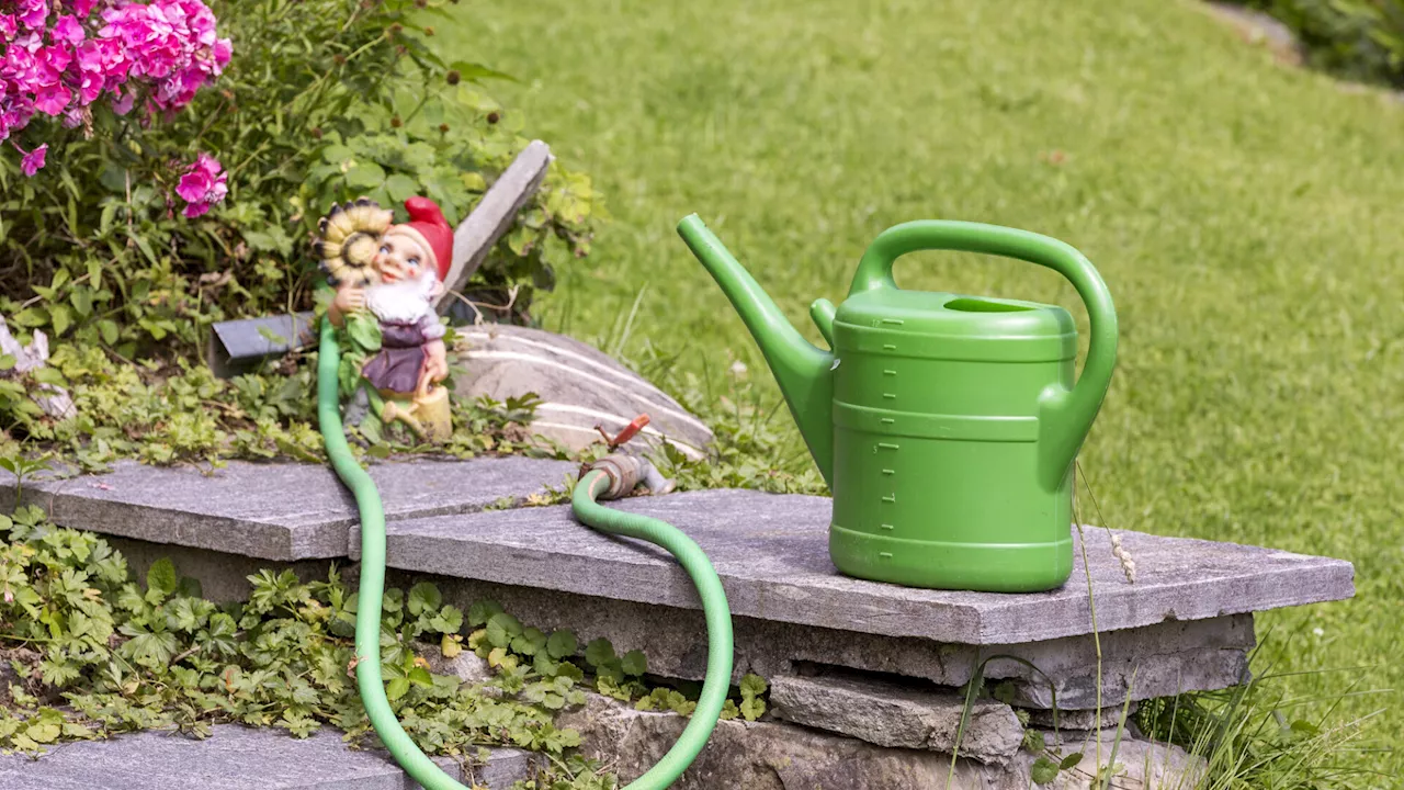 Bereits 800.000 Kontakte bei „Natur im Garten“-Telefon