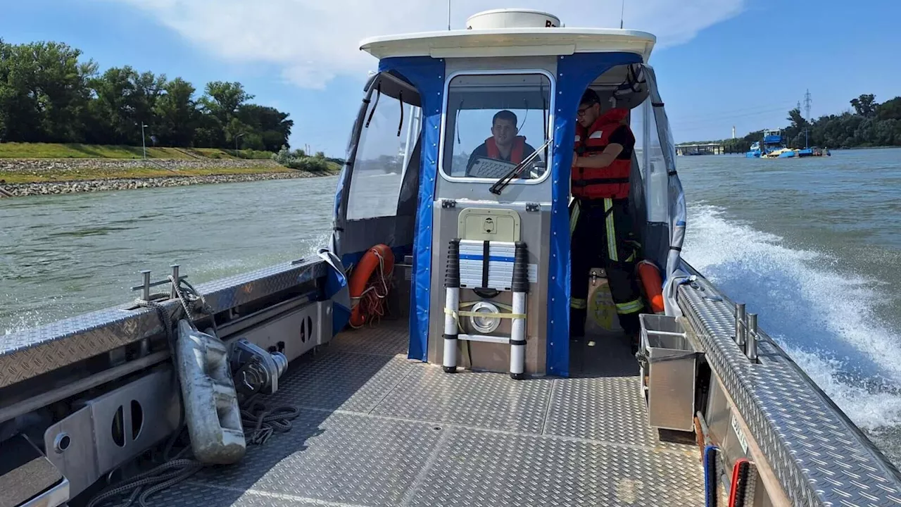 Schwimmer auf Donau war plötzlich weg: Elf Feuerwehren rückten aus