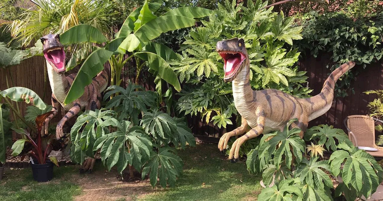 Dino superfan spends £27K transforming garden into Jurassic Park