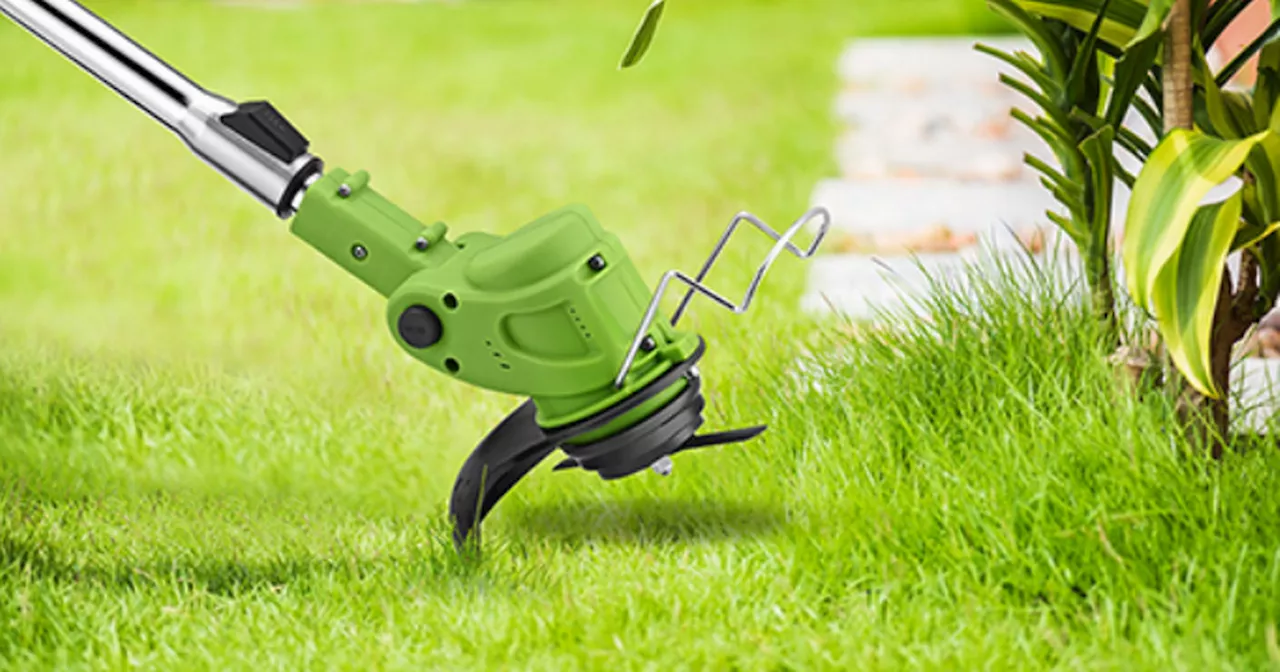 'This garden strimmer is beast - it cuts through grass like butter'