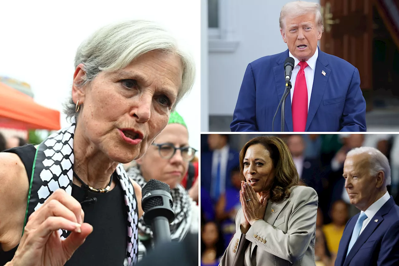 Wisconsin Democrats move to block Jill Stein from ballot — which would likely boost Kamala Harris among pro-Palestine voters