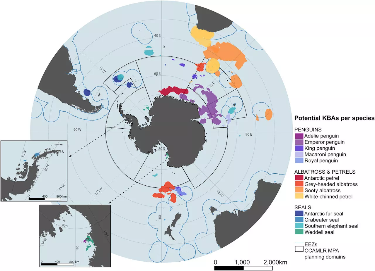 As human activities expand in Antarctica, scientists identify crucial conservation sites