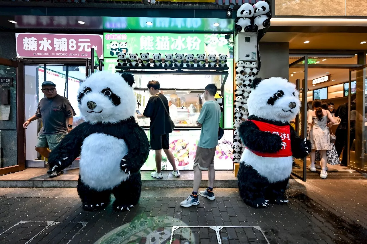 Hong Kong welcomes birth of first giant panda cubs