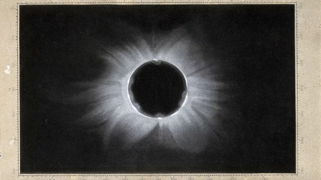 ‘The sun has been eaten’: A brief history of solar eclipses