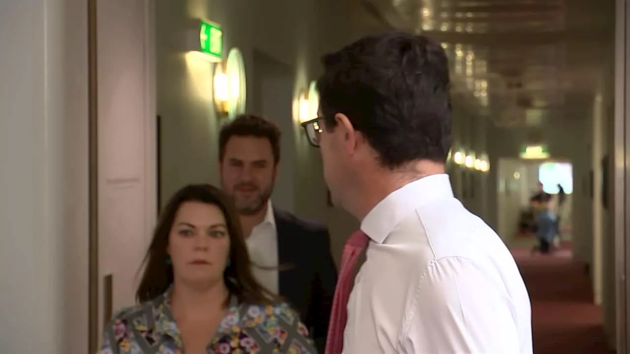 Video captures Greens senator interrupting Nationals leader's Gaza refugee ban defence