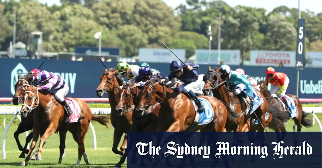 Race-by-race preview and tips for Taree on Friday