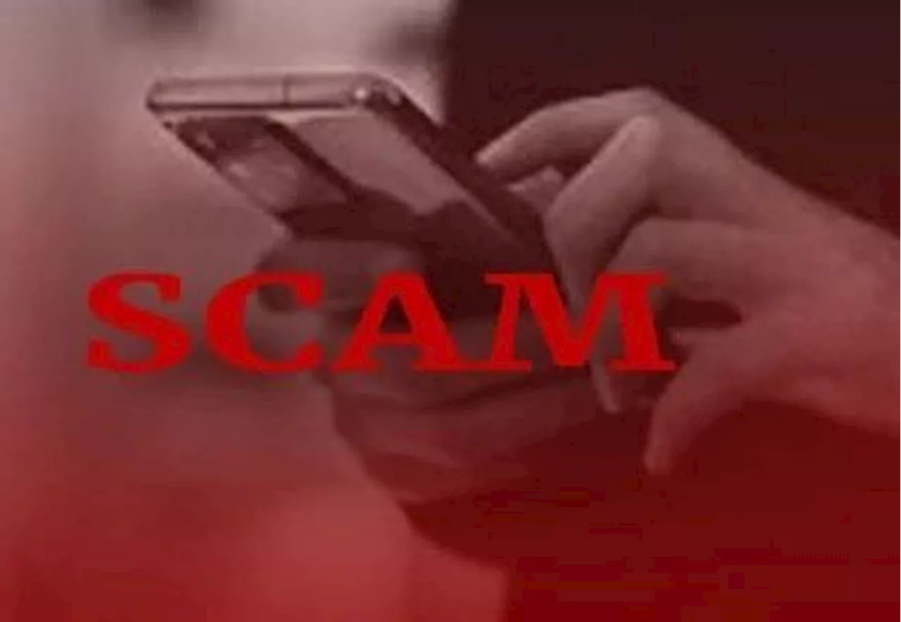 Teen loses over RM200,000 to online job scam