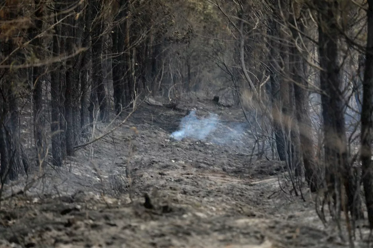 Incendie dans les Landes de Gascogne : la lutte pourrait-elle durer plusieurs semaines ?