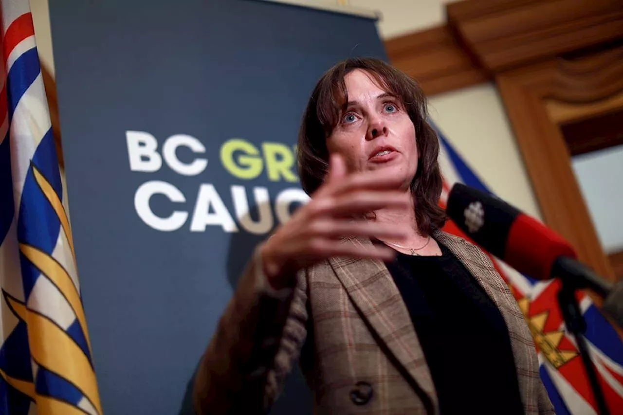 B.C. Greens running to hold government 'accountable': Furstenau