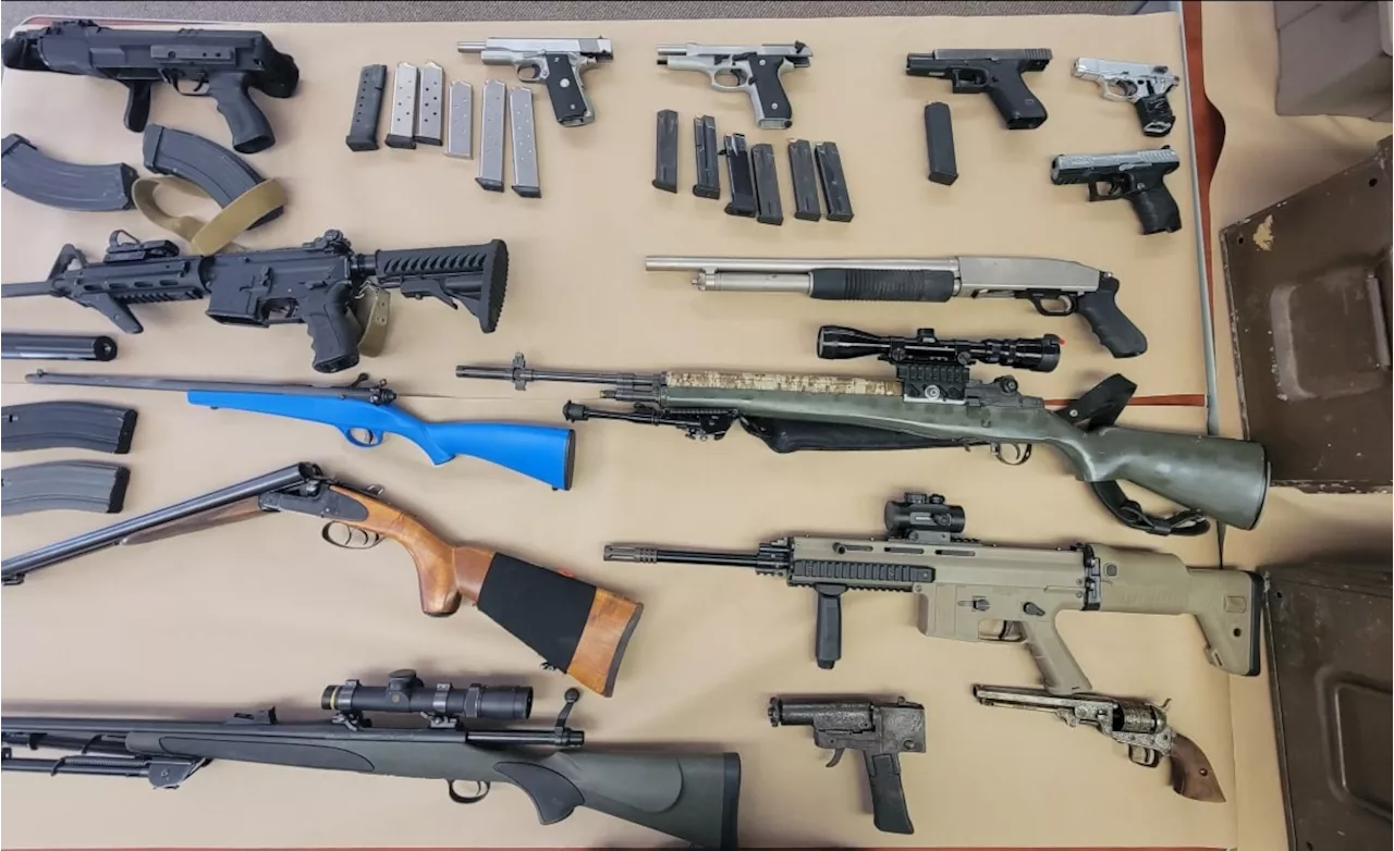 Weapons, ammuntion seized from Thornhill residence