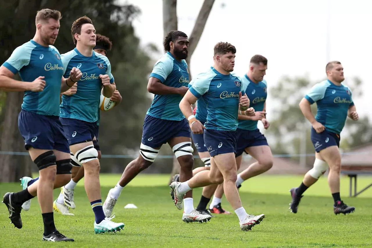 Schmidt rings changes for Wallabies’ second Test against Boks