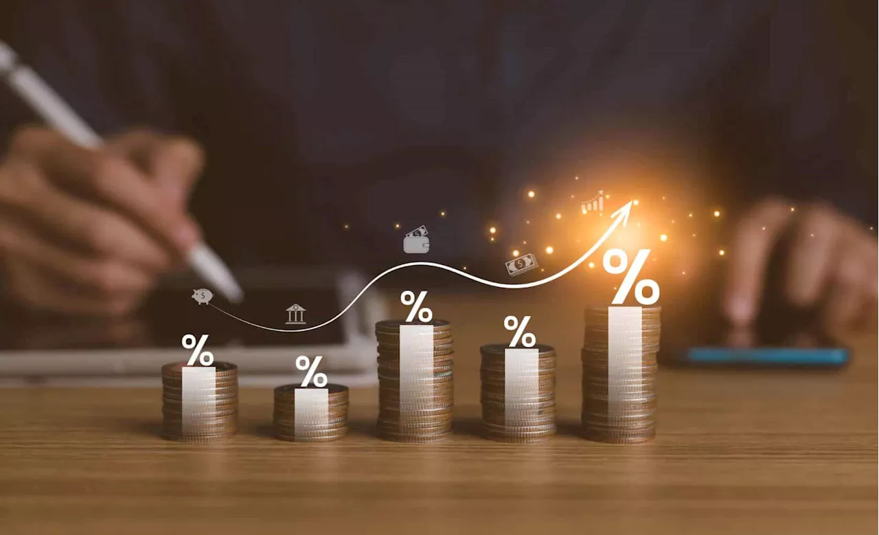 Should government use pensions to fund it projects?