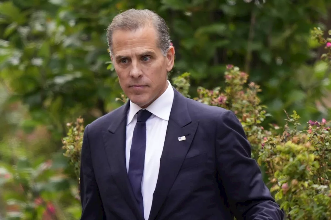 Hunter Biden reportedly sought US government help for Ukrainian gas company Burisma