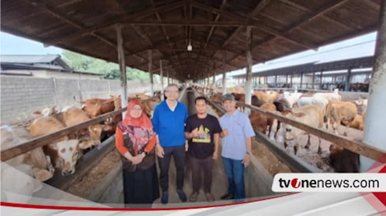 Berdayakan Peternak, LAZNAS Bakrie Amanah Gelar Peresmian Program Agri Zakat Budidaya Sapi di Lampung Tengah